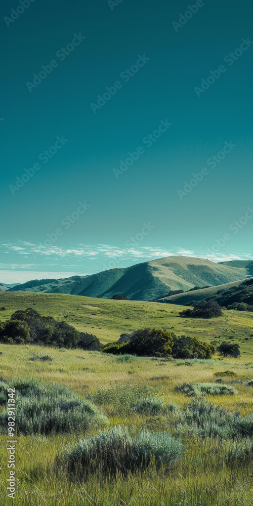 Naklejka premium A serene pastoral landscape featuring rolling green hills under clear turquoise sky, evoking sense of tranquility and natural beauty