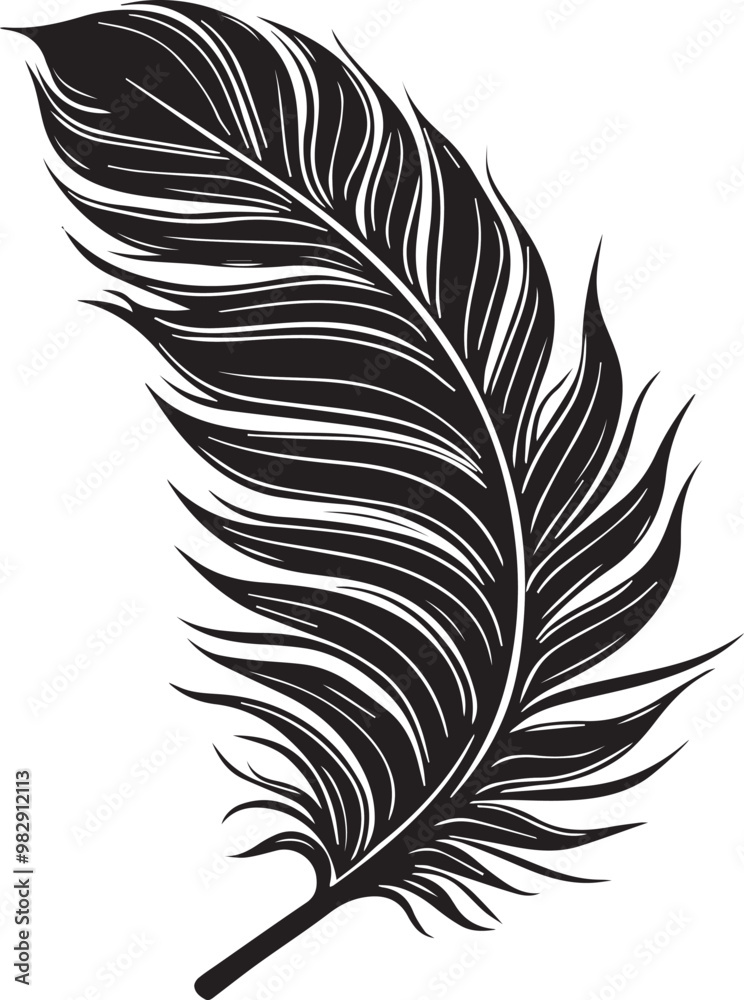 Obraz premium feather isolated on white background