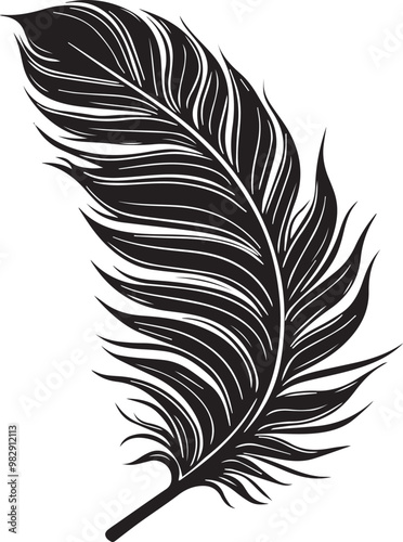 feather isolated on white background