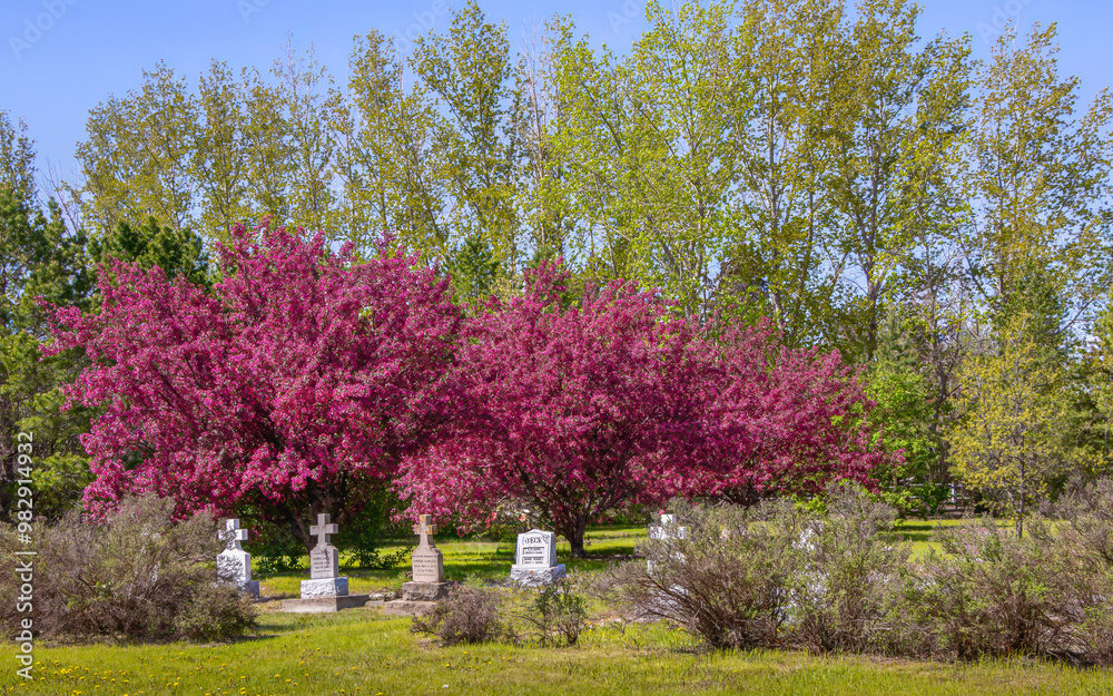 Naklejka premium Old cemetery in Spring in Saskatchewan, Canada