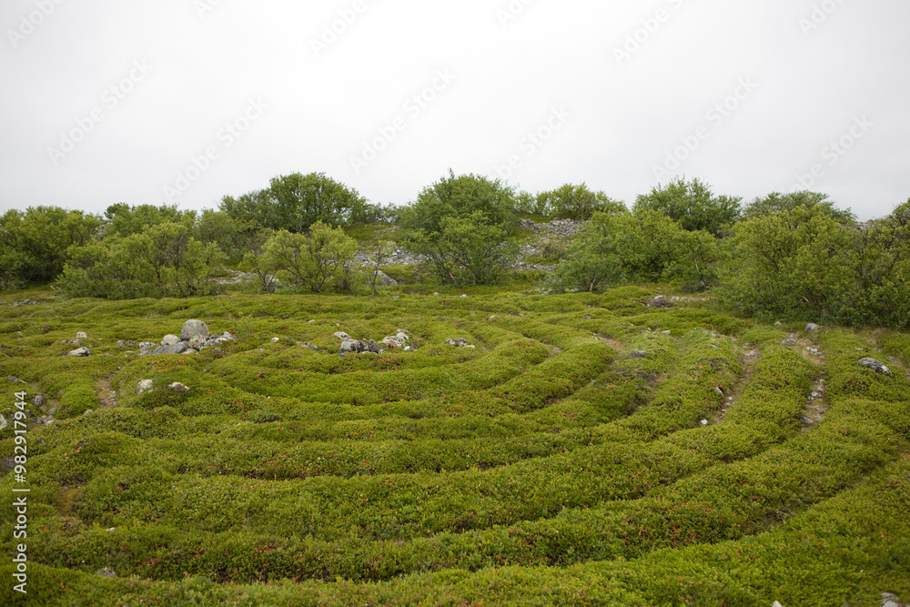 Russia Arkhangelsk region Kuzova archipelago labyrinth on a cloudy summer day