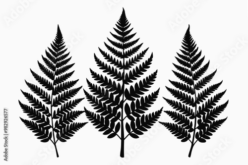 A pack of fern leaf silhouettes vector illustration