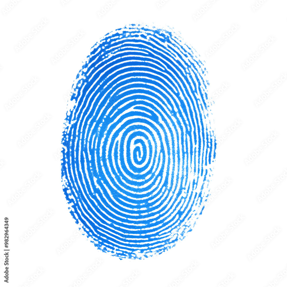 Finger Print on transparent background, red fingerprint against on white background, black Fingerprint isolated png. Finger Print on transparent background, red fingerprint against on white background, black Fingerprint isolated png.