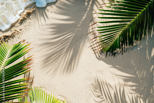 A beach scene with palm trees and a white foam line