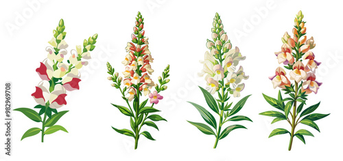 Tableau sur toile Snapdragon Flowers Illustration in Full Bloom - Colorful White, Red, and Yellow