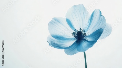 ethereal blue flower with delicate petals against a pristine white background exquisite detail and soft lighting emphasize the flowers fragile beauty in a minimalist composition