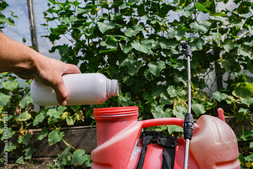 Fotografie A hand pours pesticide into a knapsack sprayer.