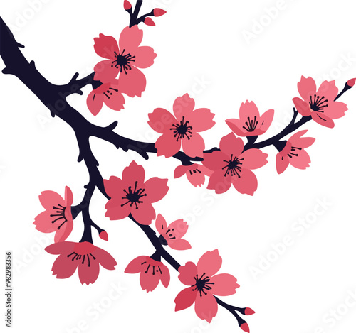 cherry blossom branch