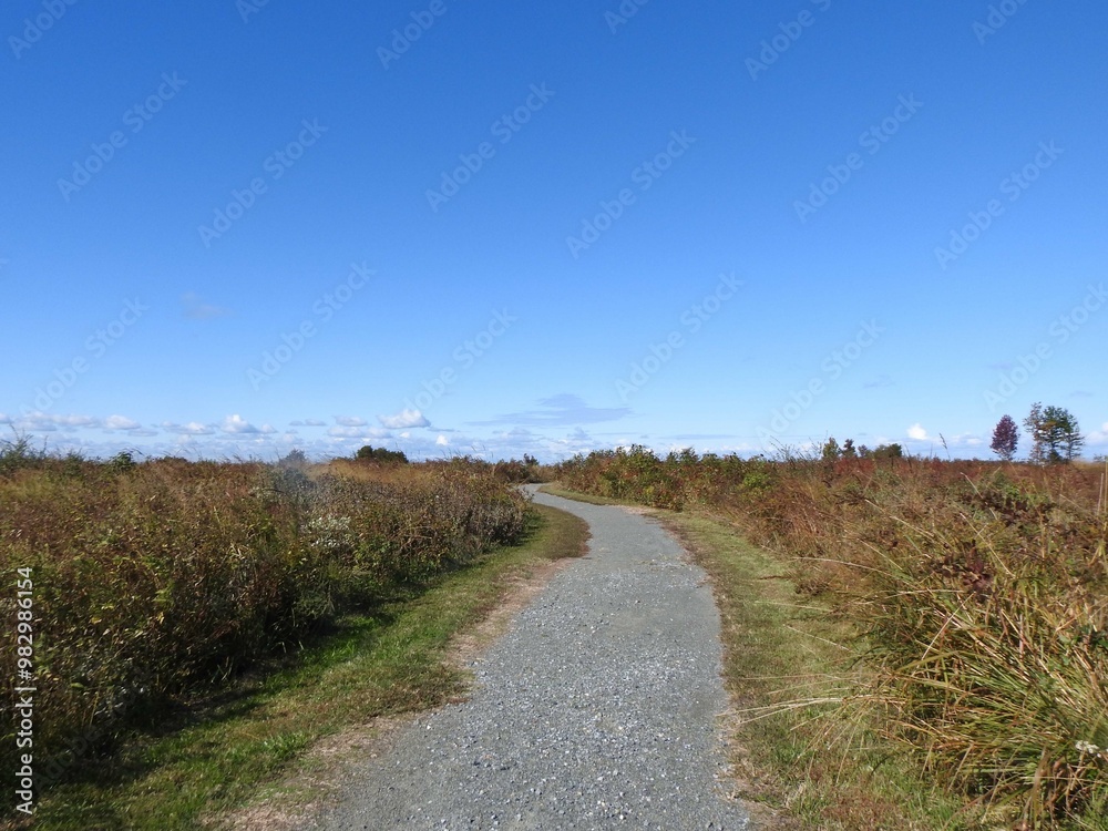 Visitors can enjoy the natural beauty of the Eastern Neck National Wildlife Refuge, while hiking the Bayview Butterfly Trail, Kent County, Rock Hall, Maryland. 