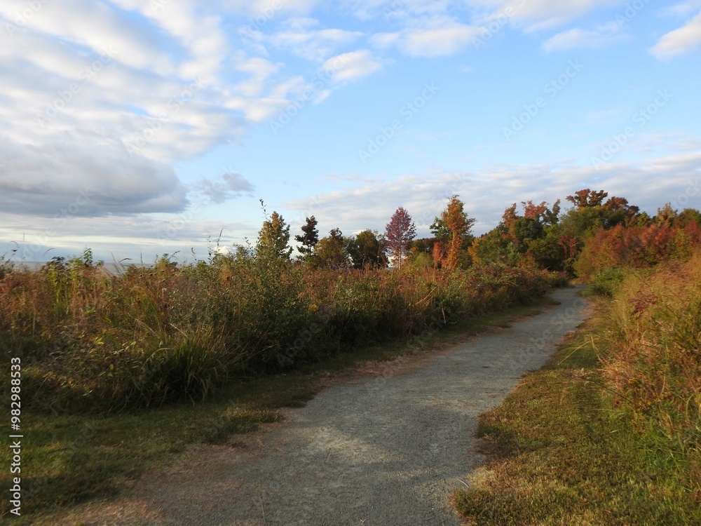 Visitors can enjoy the natural beauty of the Eastern Neck National Wildlife Refuge, while hiking the Bayview Butterfly Trail, Kent County, Rock Hall, Maryland. 
