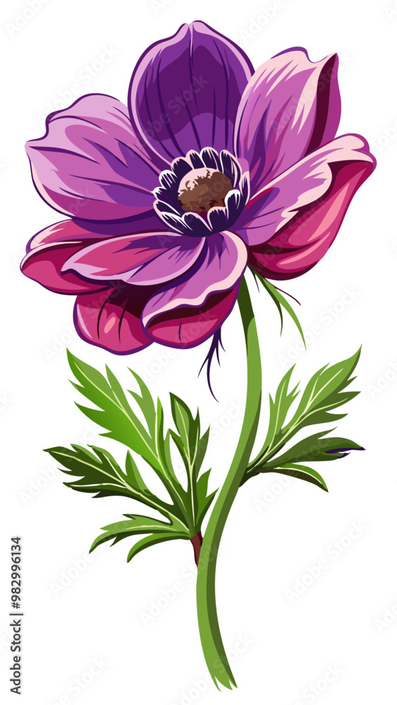 Obraz premium Elegant Purple Anemone Flower Illustration - Stunning Floral Art with Vibrant Petals and Green Leaves, Ideal for Decor and Designs, Anemone Vector Illustration, Vector Flower Illustration