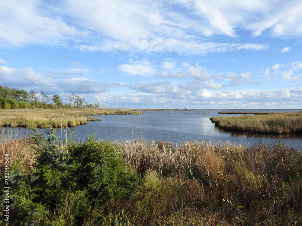 The beautiful scenery of the wetlands within the Blackwater National Wildlife Refuge, during the autumn season, Dorchester County, Cambridge, Maryland. The beautiful scenery of the wetlands within the Blackwater National Wildlife Refuge, during the autumn season, Dorchester County, Cambridge, Maryland.