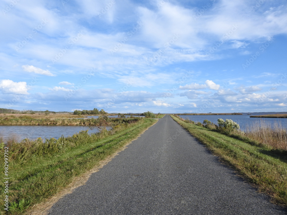 There is an endless beauty to experience, while driving within the Blackwater National Wildlife Refuge, Dorchester County, Cambridge, Maryland. There is an endless beauty to experience, while driving within the Blackwater National Wildlife Refuge, Dorchester County, Cambridge, Maryland.