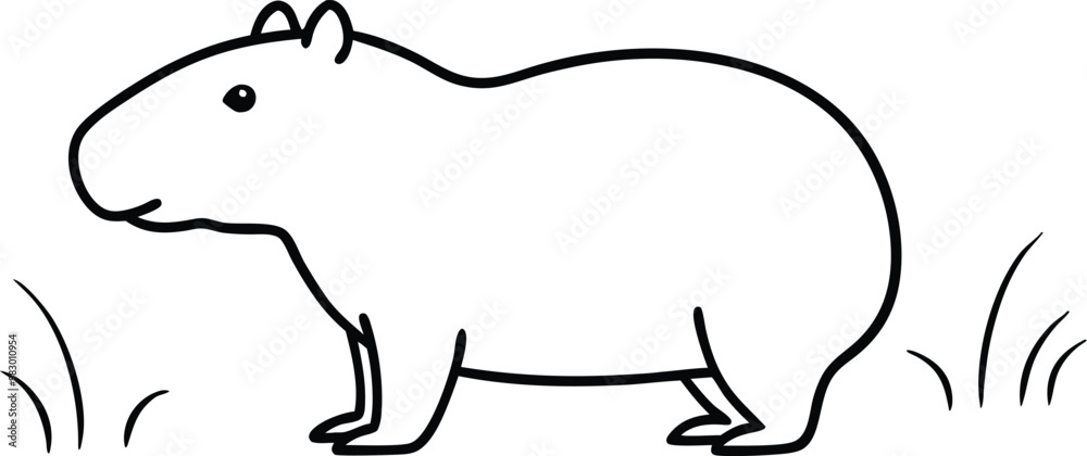 Explore the Swamp with Capybaras in this Vector Coloring Book
Explore the Swamp with Capybaras in this Vector Coloring Book