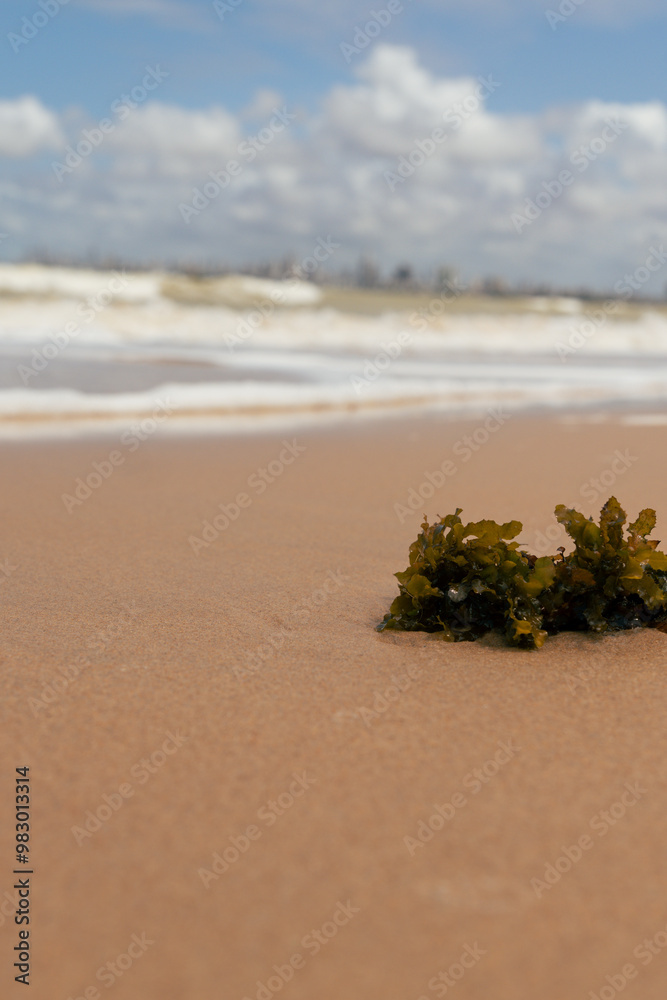 Obraz premium ONDA SE FORMANDO EM PERFEITA SINCRONIA COM A NATUREZA (WAVE FORMING IN PERFECT SYNCHRONY WITH NATURE)