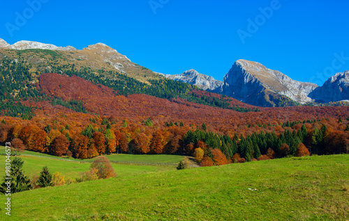 the beautiful colors of a beautiful autumn day in the mountains