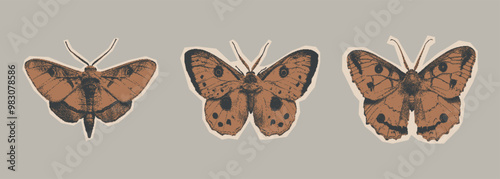 Mystical monochrome moths in gothic scrapbooking collage style. Retro cutout illustration for poster, t-shirt prints with photocopy texture.