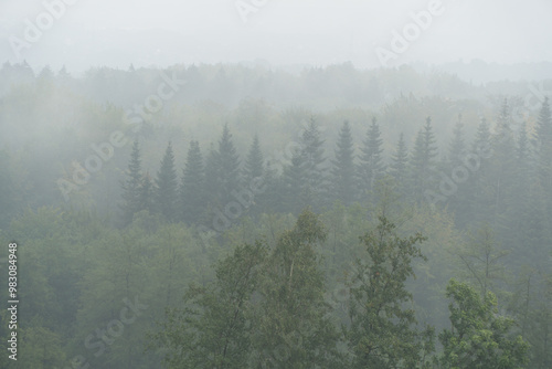 Region Teutoburger Wald im Nebel