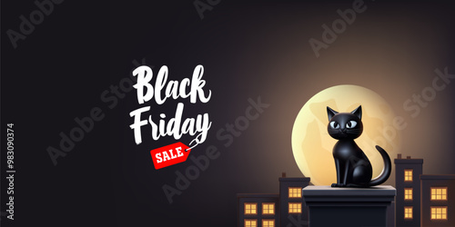 Price tag, sales until Black Friday. Night city, moonlight, a cat sitting on the roof. Web banner for advertising promotion, and product sales. Vector