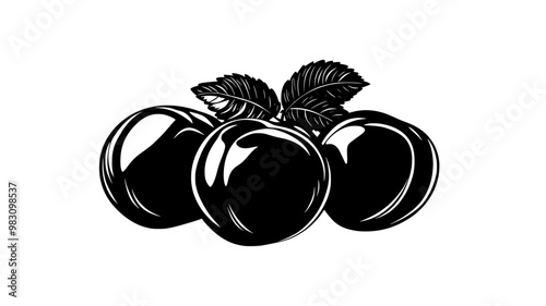 Few apricots in a neat, circular formation on a flat surface, food vector graphic