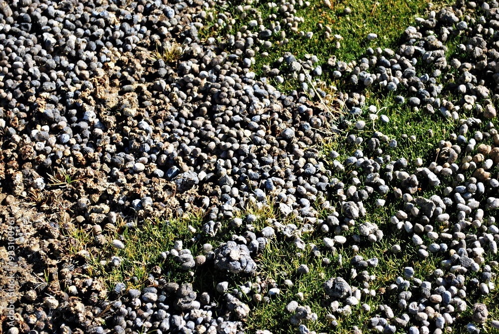 A close-up view of pebbles and grass, showcasing natural textures and colors. A close-up view of pebbles and grass, showcasing natural textures and colors.