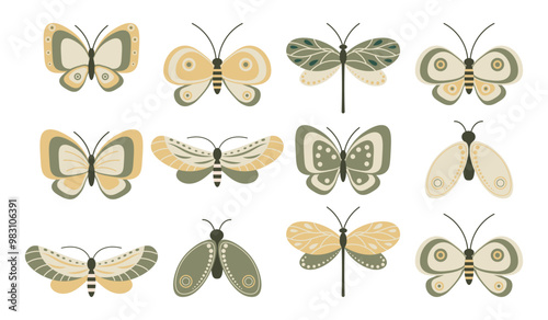 Set of insects, cute butterflies, dragonflies and moths with ornaments. Print, vector