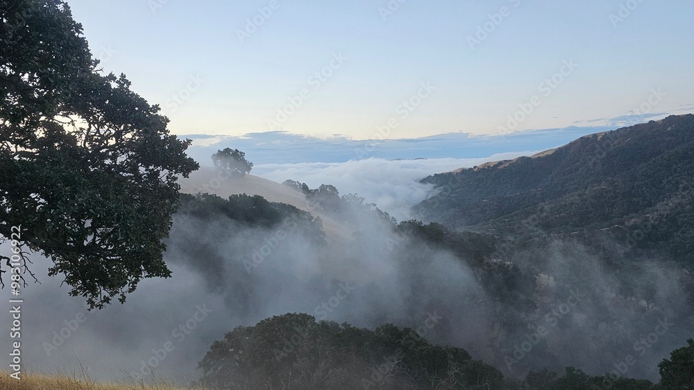 Obraz premium fog