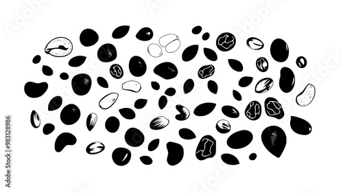 Group of mixed nuts, seeds, and dried fruits scattered randomly, food illustration vector