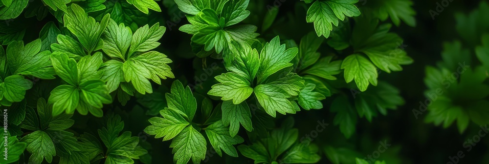 A tight shot of a verdant plant, brimming with numerous green leaves atop and below A tight shot of a verdant plant, brimming with numerous green leaves atop and below