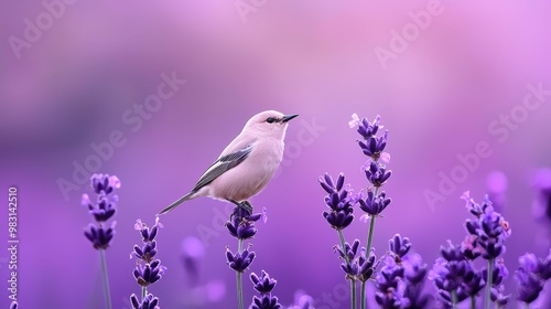  A bird perches above a cluster of purple flowers against a purple backdrop