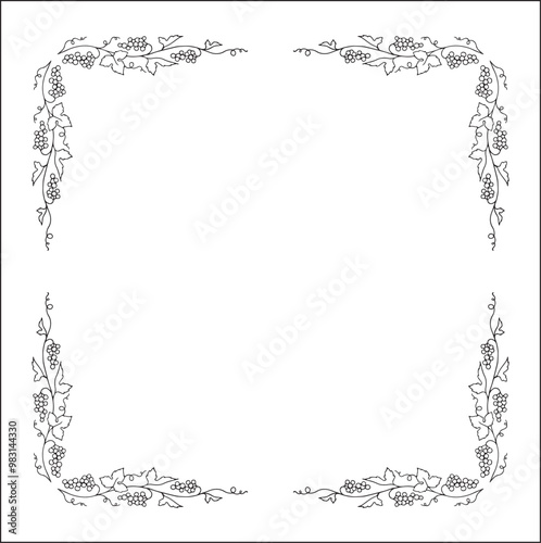 Vegetal  frame with grapevine, decorative corners for greeting cards, banners, business cards, invitations, menus. Isolated vector illustration.	