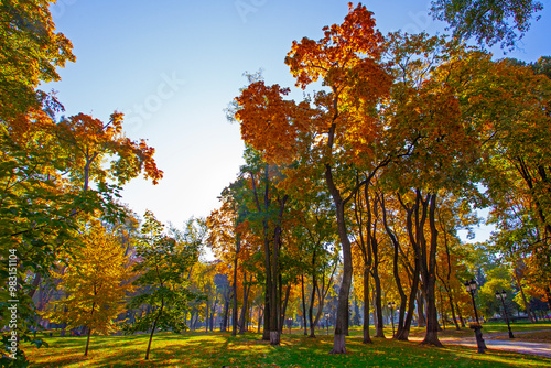 Golden colourful autumn in Maryinskyi park in Kyiv, Ukraine