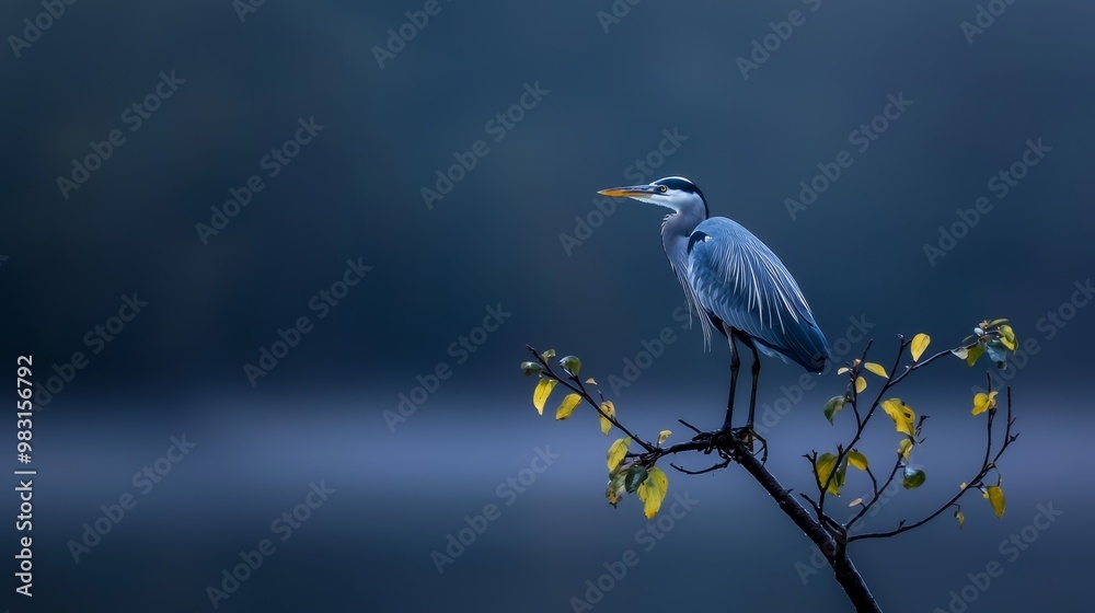 Fototapeta premium A bird atop a tree branch, overhanging a body of water Yellow leaves populate the foreground