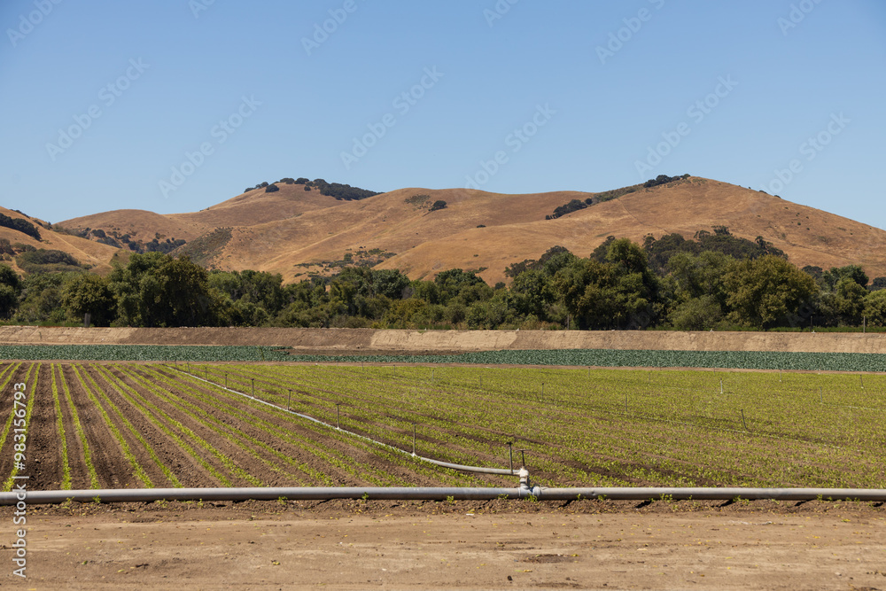 Obraz premium Irrigation system in the field