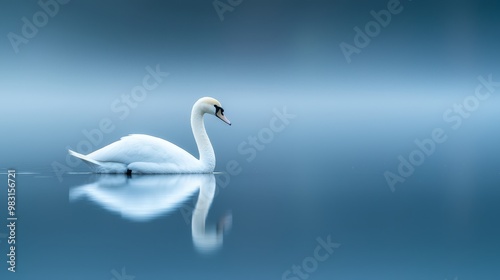  A white swan floats atop tranquil water, mirrored by its head's reflection against a backdrop of blue and white