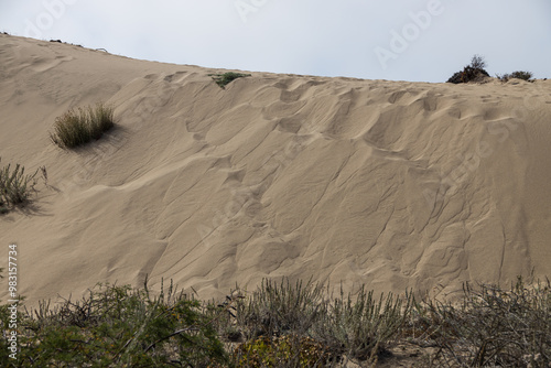 Fototapeta Naklejka Na Ścianę i Meble -  Sand dunes on the beach