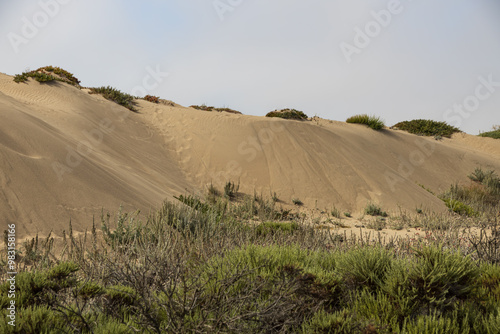 Fototapeta Naklejka Na Ścianę i Meble -  Sand dunes on the beach