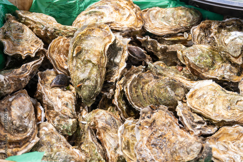 Fresh live different sizes oysters Fine de Clair in market hall ready to be eaten for lunch, close up, from oyster-farming village, Arcachon bay, Gujan-Mestras, Bordeaux, France