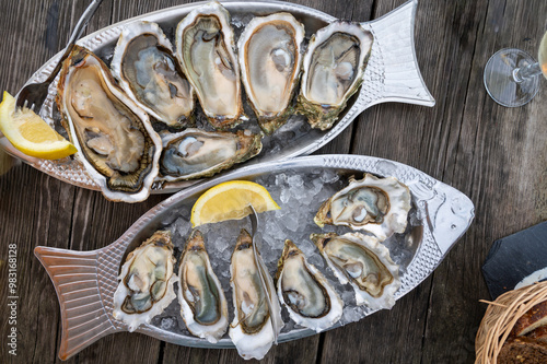 Eating of fresh live oysters with citron at farm cafe in oyster-farming village, Arcachon bay, Gujan-Mestras port, Bordeaux, France in sunny day, huge oyster photo