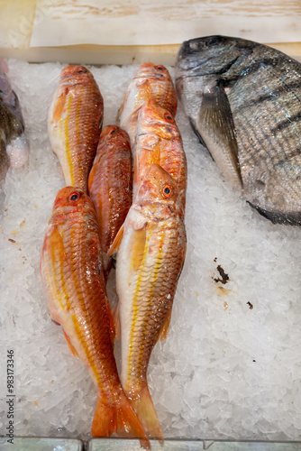 Assortment of fresh daily catch of fish on ice on fish market in Brittany, France, English translation: differens French names of fish, red snapper photo