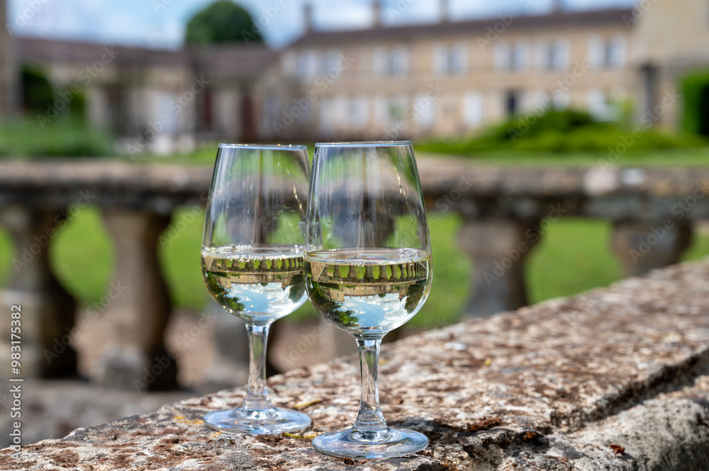 Glasses of white wine in old wine domain on Sauternes vineyards in Barsac village and old castle on background, Bordeaux, France Glasses of white wine in old wine domain on Sauternes vineyards in Barsac village and old castle on background, Bordeaux, France