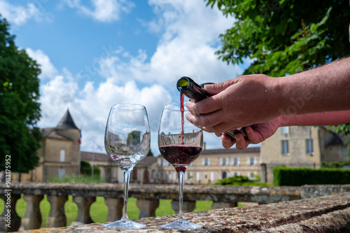 Glasses of french dry red wine in old wine domain on Graves vineyards in Portets village and old castle on background, Bordeaux, France photo