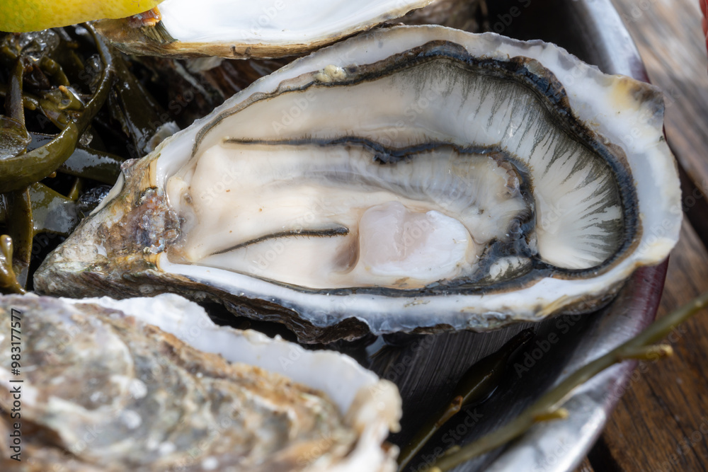 Plate with fresh live oysters with citron, bread, butter and white wine served on ice at restaurant in oyster-farming village, Arcachon bay, Gujan-Mestras port, France Plate with fresh live oysters with citron, bread, butter and white wine served on ice at restaurant in oyster-farming village, Arcachon bay, Gujan-Mestras port, France