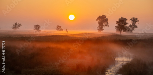 sunrise over grass land in national park weerribben wieden near Giethoorn in the neherlands