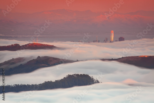 Rolling Fog on Mount Tamalpais, California photo