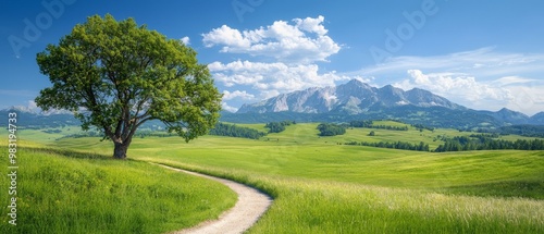 Wallpaper Mural  A solitary tree stands in a sprawling grassy field, its base surrounded by a dirt path up close In the far distance, majestic mountain ranges loom Torontodigital.ca