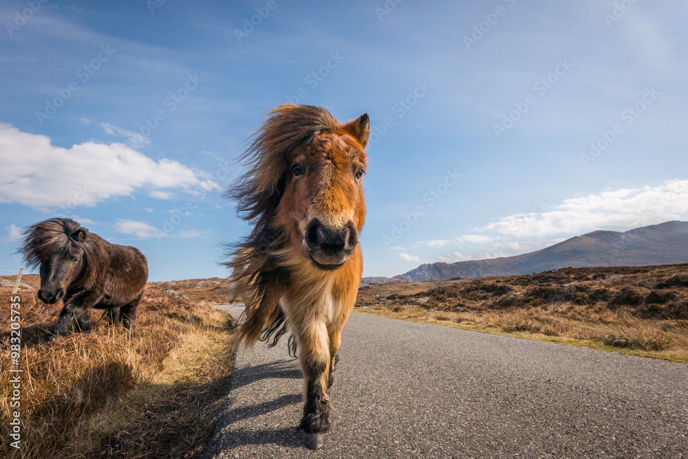 Tableau Lumineux à Messages Exbelle – 16 LEDs, 7 Couleurs – Effaçable à Sec – Design Acrylique