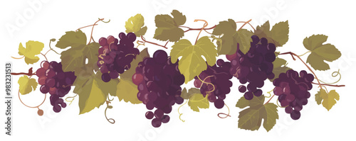 Cluster of red grapes with vine leaves. Vector flat minimalistic isolated illustration.