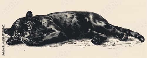 panther Engraving style. Simple pencil drawing. vector simple illustration