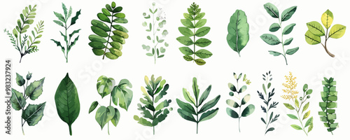 Set botanical hand drawn element. Isolated on a white background. vector illustration